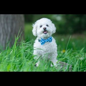 Meet your Posher, Kaitlyn